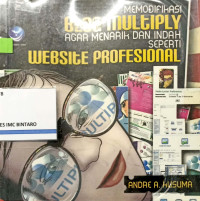 Image of memodifikasi  blog multiply agar menarik dan indah
website profesional