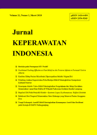 Image of Jurnal keperawatan indonesia